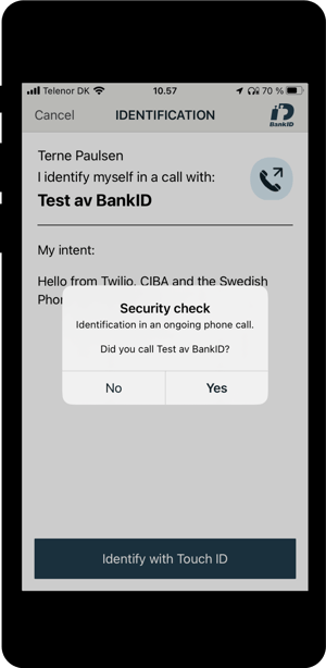 BankID-security-check